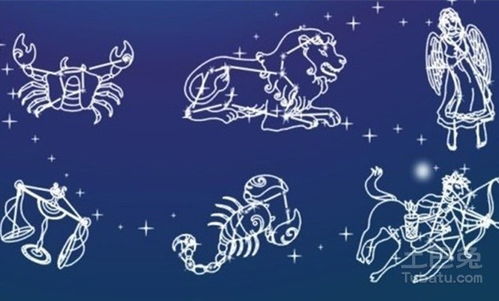 生肖配什么星座配对 - Zlyz